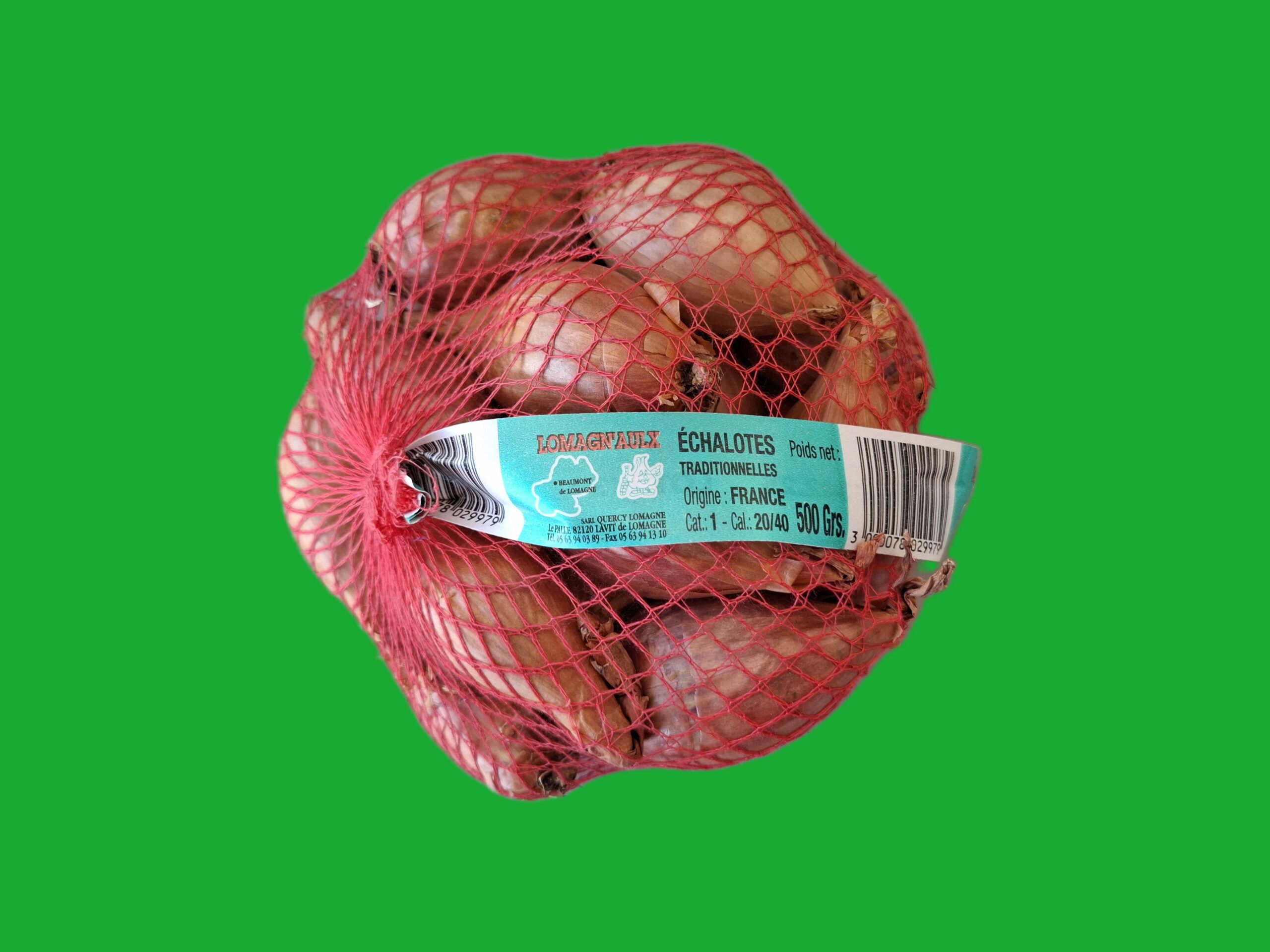 Échalote Quercy Lomagne
